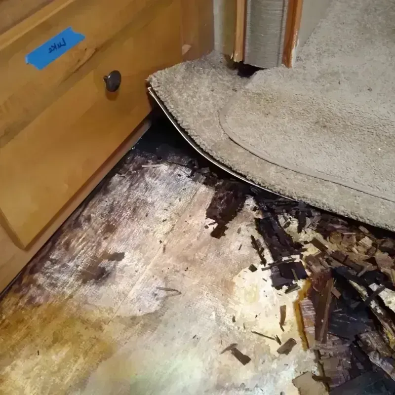 Best Wood Floor Water Damage Service in Sumner County, TN